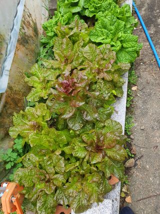 안비님의 자유주제 · 자유게시판 작성글 사진