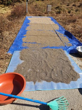 김서운님의 들깨 · 자유게시판 작성글 사진