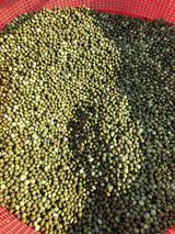 팜모닝 11월 내 작물 자랑하기·참여글 게시글 이미지