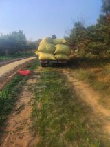 팜모닝 11월 내 작물 자랑하기·참여글 게시글 이미지