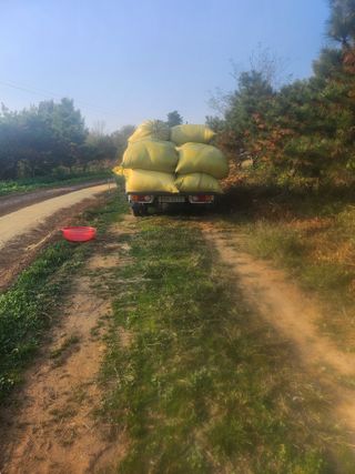 김영복 19146님의 11월 내 작물 자랑하기 · 참여글 작성글 사진