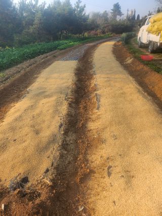 김영복 19146님의 11월 내 작물 자랑하기 · 참여글 작성글 사진