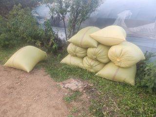 김영복 19146님의 11월 내 작물 자랑하기 · 참여글 작성글 사진