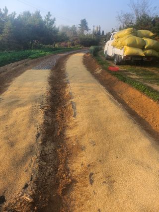 김영복 19146님의 11월 내 작물 자랑하기 · 참여글 작성글 사진