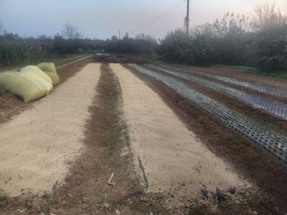 김영복 19146님의 11월 내 작물 자랑하기 · 참여글 작성글 사진