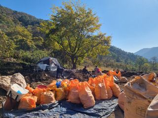 이호성님의 장터이야기 · 자유게시판 작성글 사진