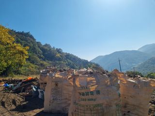 이호성님의 장터이야기 · 자유게시판 작성글 사진