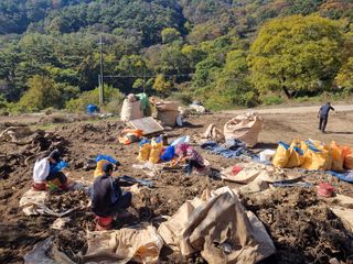 이호성님의 장터이야기 · 자유게시판 작성글 사진