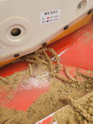 장미부인님의 11월 내 작물 자랑하기 · 참여글 작성글 사진