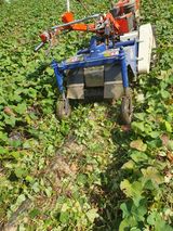 팜모닝 11월 내 작물 자랑하기·참여글 게시글 이미지