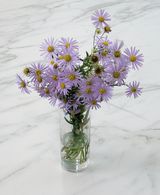 팜모닝 자유주제·자유게시판 게시글 이미지