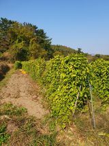 팜모닝 자유주제·자유게시판 게시글 이미지