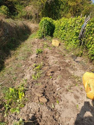 사과농사님의 자유주제 · 자유게시판 작성글 사진