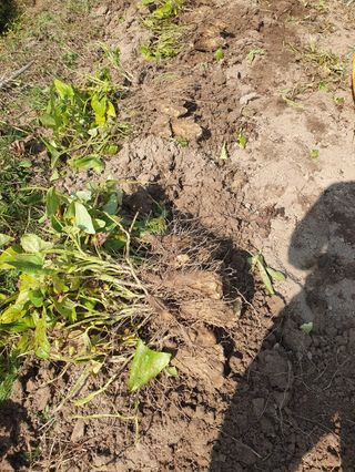 사과농사님의 자유주제 · 자유게시판 작성글 사진