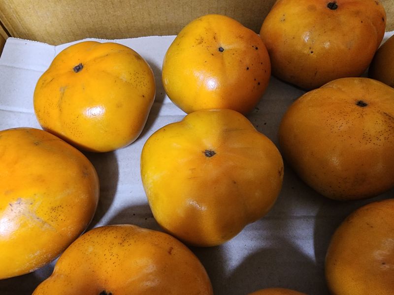 장터 상품 [단감 10kg] 썸네일