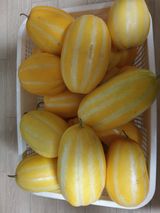 팜모닝 · 게시글 이미지