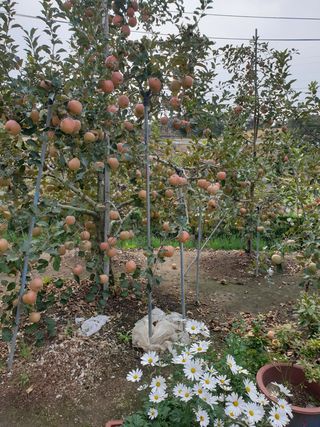 양파5749님의 자유주제 · 자유게시판 작성글 사진