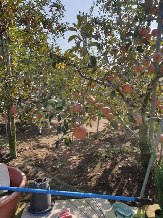 양파5749님의 자유주제 · 자유게시판 작성글 사진