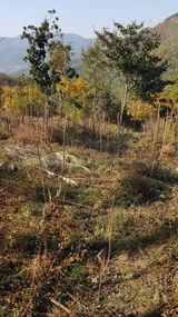 팜모닝 11월 내 작물 자랑하기·참여글 게시글 이미지