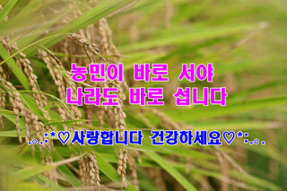 바위솔방울님의 자유주제 · 자유게시판 작성글 사진