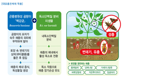 자재스토어님의 작성글 사진