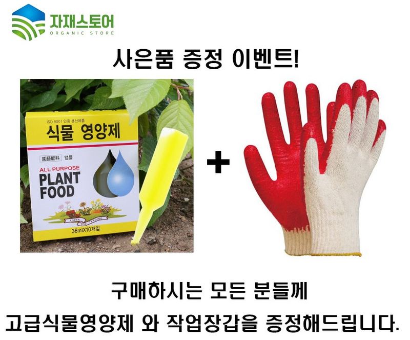 자재스토어님의 장터 판매 상품 [대유 총진싹 액제 식물 총채벌레 살충제 원료효과- 진딧물 뿌리파리 토양 해충 퇴치 약] 첨부 사진