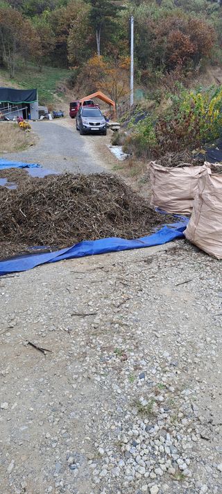 용호님의 들깨 · 영농일지 작성글 사진