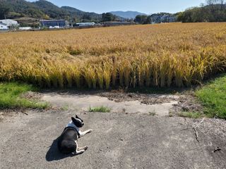 알 수 없음님의 자유주제 · 자유게시판 작성글 사진