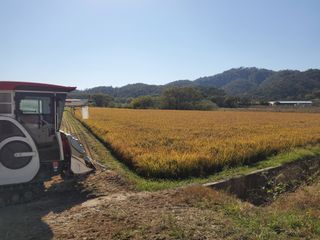 알 수 없음님의 자유주제 · 자유게시판 작성글 사진