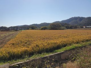 알 수 없음님의 자유주제 · 자유게시판 작성글 사진