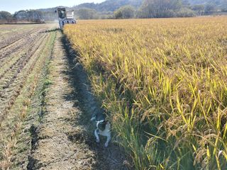 알 수 없음님의 자유주제 · 자유게시판 작성글 사진