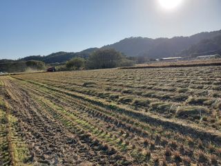 알 수 없음님의 자유주제 · 자유게시판 작성글 사진