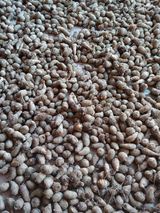 팜모닝 11월 내 작물 자랑하기·참여글 게시글 이미지