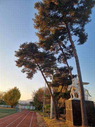 정석범님의 우리동네 · 동네정보 작성글 사진