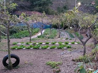 김윤철님의 11월 내 작물 자랑하기 · 참여글 작성글 사진