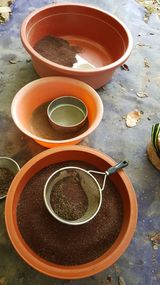 팜모닝 11월 내 작물 자랑하기·참여글 게시글 이미지