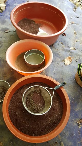 신옥윤님의 11월 내 작물 자랑하기 · 참여글 작성글 사진