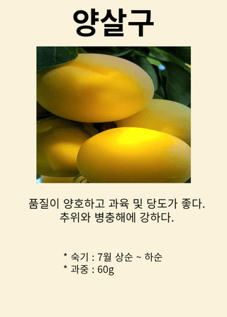 일심묘목농원님의 작성글 사진