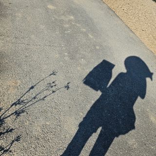 김지연님의 토마토 · 품종•종자 작성글 사진