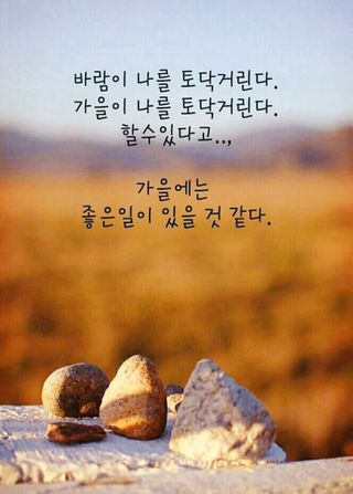 심수연님의 자유주제 · 자유게시판 작성글 사진