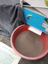 팜모닝 들깨·영농일지 게시글 이미지