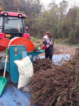 류남열님의 들깨 · 영농일지 작성글 사진