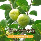 팜모닝 11월 내 작물 자랑하기·참여글 게시글 이미지