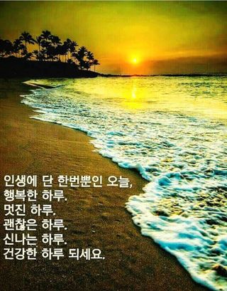 심수연님의 자유주제 · 자유게시판 작성글 사진