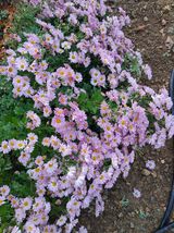 팜모닝 자유주제·자유게시판 게시글 이미지