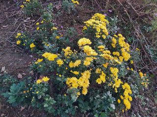 경선님의 자유주제 · 자유게시판 작성글 사진