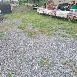 봉선이네봉장 님의 팜모닝 · 출석 작성글 사진