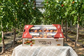 오대미 맘/대추 퀸님의 장터이야기 · 자유게시판 작성글 사진