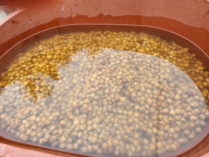 만금화님의 장터 판매 상품 [도토리가루1kg] 첨부 사진