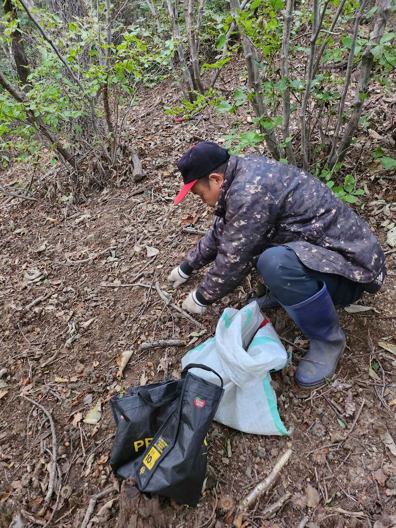 만금화님의 장터 판매 상품 [도토리가루1kg] 첨부 사진